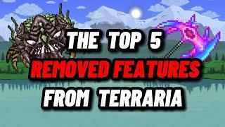 The TOP 5 REMOVED FEATURES from Terraria