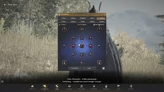 BDO 2023 - Evasion Build Crystal Presets - What I Run [Updated]