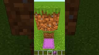 HOW TO PASS THROUGH THE BLOCKS WITH THE SHULCER #shorts #minecraft