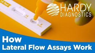 How Lateral Flow Assays Work