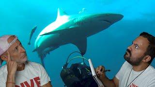 Divers React to Rules you MUST follow when diving with Sharks