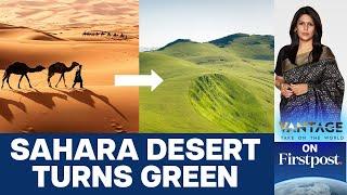 Sahara Turns Green: Should we Celebrate or Worry? | Vantage with Palki Sharma