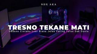 DJ GEDENE CINTAKU LUAR BIASA NDX AKA VIRAL TIKTOK ( DJ TRESNO TEKANE MATI )