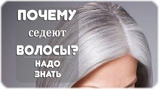 Почему седеют волосы?