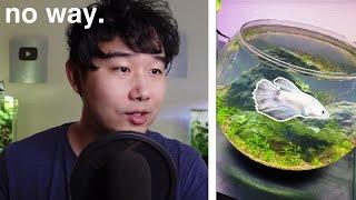 a Betta Fish Bowl that's ACTUALLY GOOD | Fish Tank Review 228