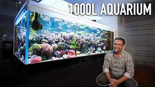 1000 Liter AQUARIUM *high end SPS* - ATI Aquaristik