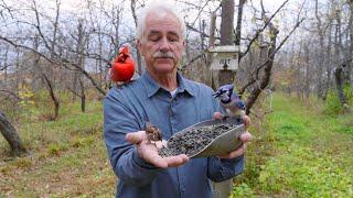 Feed Birds, Help Your Garden: Win - Win