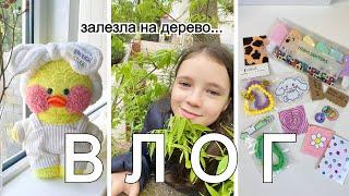 УТОЧКА МИЛКА В ГОСТЯХ У БАБУШКИ! ️️ВЛОГ Ксюши и Милки! Новое письмо и ваши уточки!