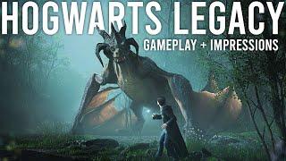 Hogwarts Legacy Gameplay and Impressions...