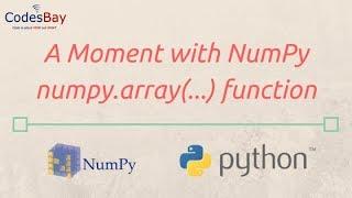 Using NumPy array (...) function : A Moment with NumPy