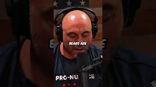 Joe Rogan on Why Bears Are Truly Unique and Incredible Creatures