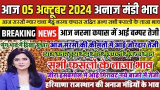 अनाज मंडी भाव| 05 अक्टूबर 2024 आज नरमा कपास में आई बम्पर तेजी| सरसों मूंग आई तेजी| सभी फसलों के भाव,