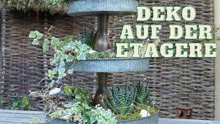 DIY mit Sedum 🪴& Muscheln | Natur pur im Lichterglanz | Dekoidee für die Etagere