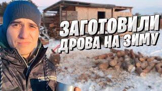 ЗАГОТОВИЛИ ДРОВА на ЗИМУ / Жизнь в деревне / Подготовка к зиме