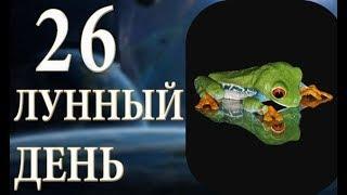 26 лунный день