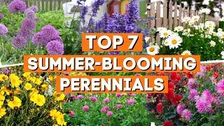 7 Beautiful Perennials That Keep Blooming All Summer ️