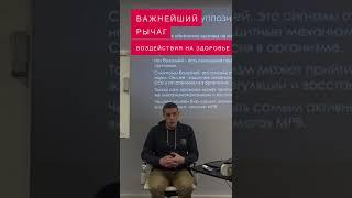 ВАЖНЕЙШИЙ РЫЧАГ ВОЗДЕЙСТВИЯ НА ЗДОРОВЬЕ