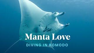 Best Diving with MANTAS in KOMODO National Park 