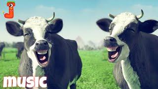 FUNNY COW DANCE FOR 11 MINUTES STRAIGHT│ Cow Song & Cow Videos 2024 | Cow dance mix | dancing cow