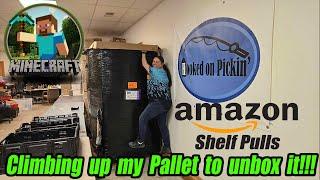 Unboxing a $1,000 Amazon over Stock Pallet From California. Just Climbing up to unbox it!