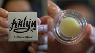 TRYING KALYA EXTRACTS