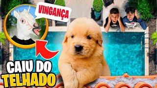 UNICÓRNIO DA DEEP WEB SE VINGOU!! *o cachorro caiu