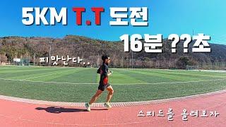 5Km 달리기 TT 훈련 16분 ??초 / 스피드를 올려보자 / 서울 동마 풀코스 239를 향해