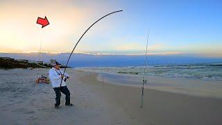 Surf Fishing the Morning Bite and Caught This!