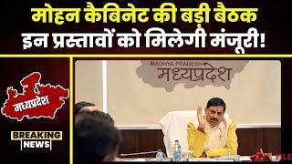 Mohan Cabinet Meeting Today: मोहन कैबिनेट की बड़ी बैठक। इन प्रस्तावों पर लगेगी मुहर! देखिए..