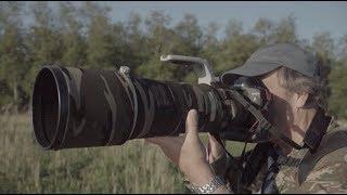 Steven's Achtertuin, de Oostvaardersplassen