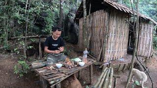 Eat wild snails to live long days in the forest, bushcraft shelter building, survival skills