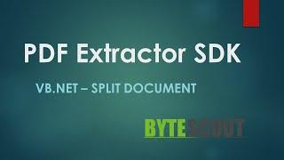 PDF Extractor SDK - VB.NET - Split Document
