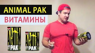 Animal pak как принимать витамины. Обзор на энимал пак, состав, отзывы, для чего и какой эффект