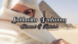 Labbaika  Padunnu Slowed & Reverb Malamyalam songs