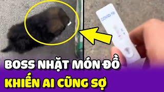 Cùng chủ đi vứt rác, chú chó nhặt phải món đồ khiến ai cũng SỢ  | Yêu Lu Official