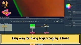 Easy way for fixing edges roughly in Nuke