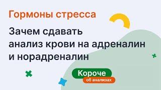 Гормоны стресса. Зачем сдавать кровь на адреналин и норадреналин