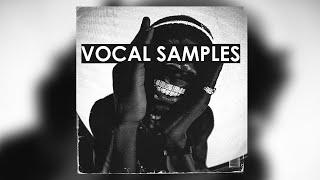 FREE DOWNLOAD VOCAL SAMPLE PACK - "vocal samples" [Phrase Loops]