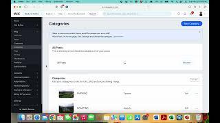 Creating blog categories in Wix