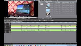 Grass Valley Edius 3D Training Part 8