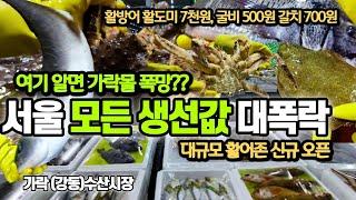 서울 생선값 산지 반값?? 전국 수산시장 난리났다! 가락동 대규모 활어존 오픈 막 던진다!! 노량진수산시장 가락몰 연말 대목 어쩌나? [가락동수산시장 V-log]