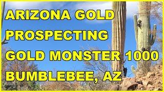 Arizona Gold Prospecting | Bumble Bee,  AZ | Minelab Gold Monster 1000