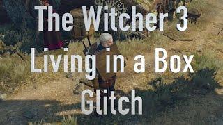 The Witcher 3 Living in a Box Glitch