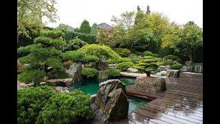 Modern Koi Blog #3467 - Der Privatteich und Japangarten von Stargartendesigner Jürgen Kirchner