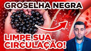 SUPERALIMENTO que promete revolucionar sua saúde cardiovascular, a groselha negra