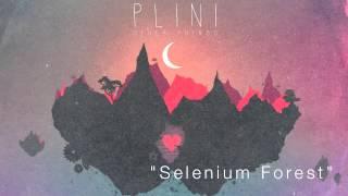 Plini - Selenium Forest (Audio)