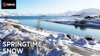 What's causing this polar blast? | 1News on TVNZ+