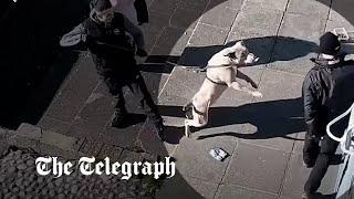 CCTV shows dog that mauled a 10-year-old boy to death lunging at passersby