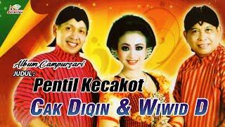 Cak Diqin & Wiwid Widayati - Pentil Kecakot (Official Music Video)