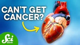 Why Heart Cancer is Incredibly Rare